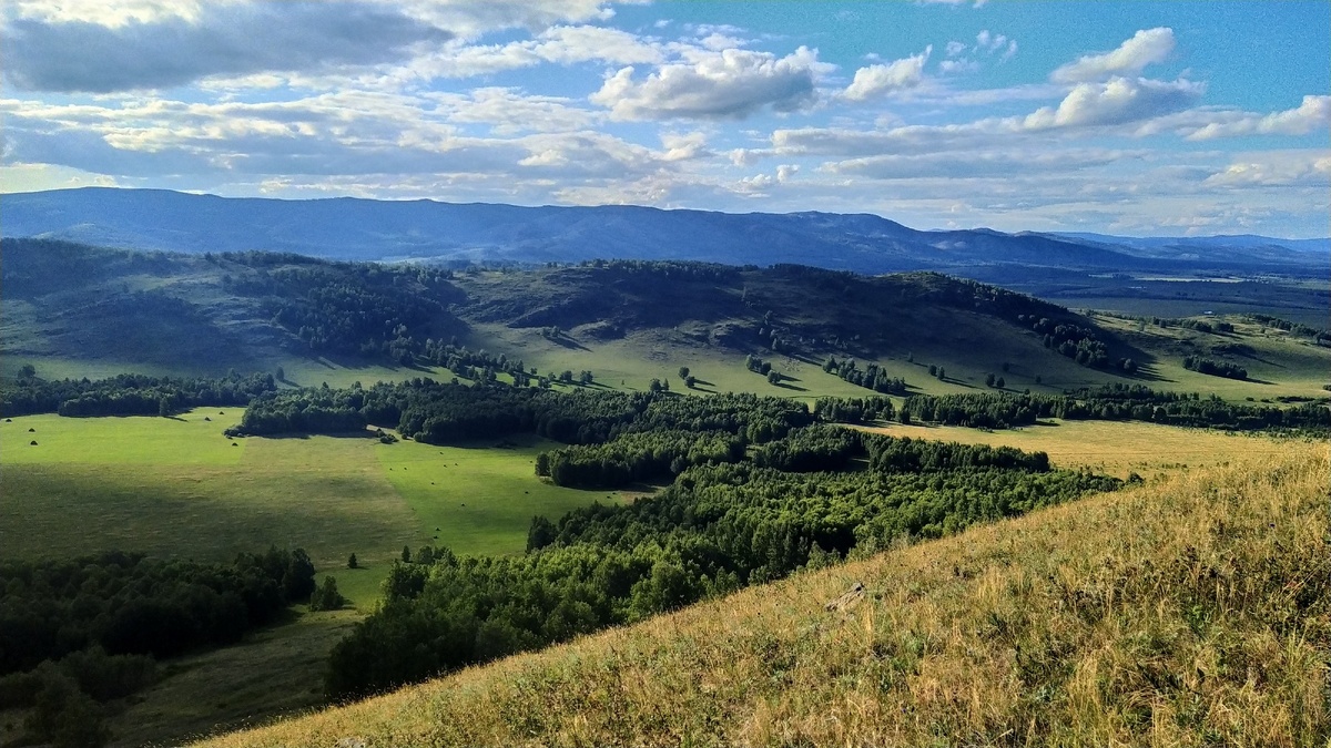 Здорово летать