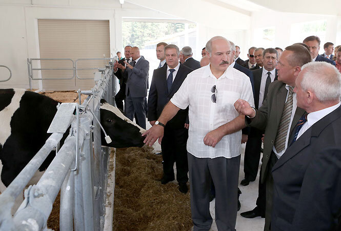 Всё просто , там выращивают скот , а в РФ скотов