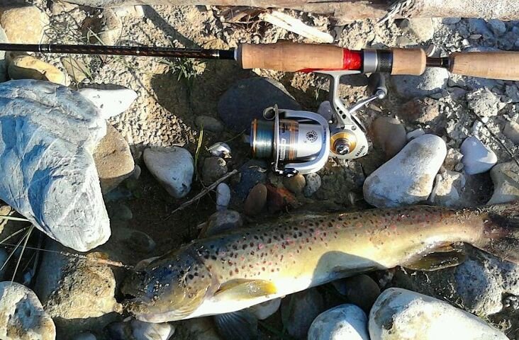 Ручьевая форель. Река Подкумок