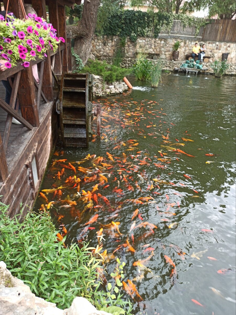 Вот такие вот водоёмы