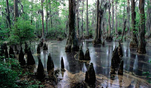 Не очень приятное место, правда?
