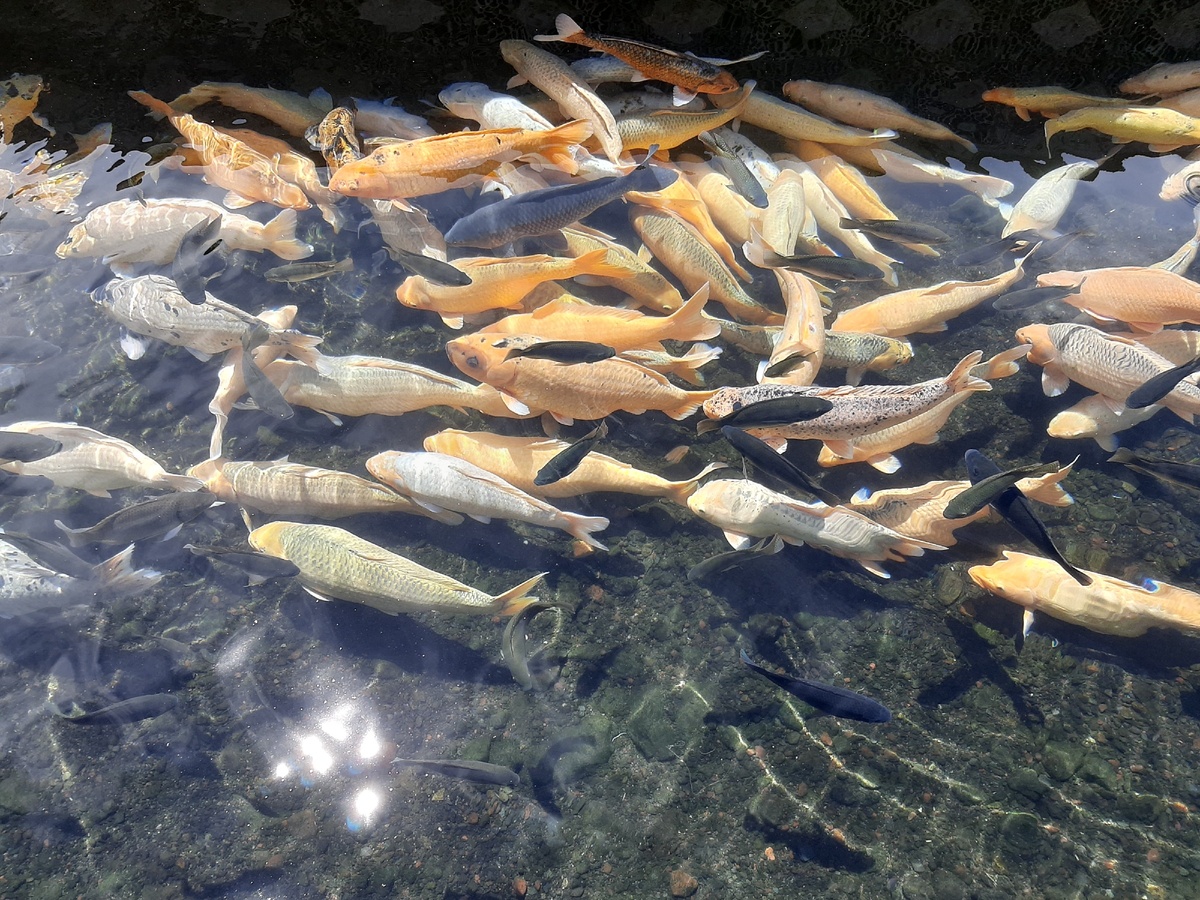 Фото из личного архива