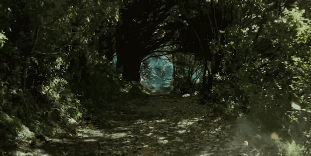 Кадр из фильма «Властелин колец. Братство кольца» (Питер Джексон, 2001)