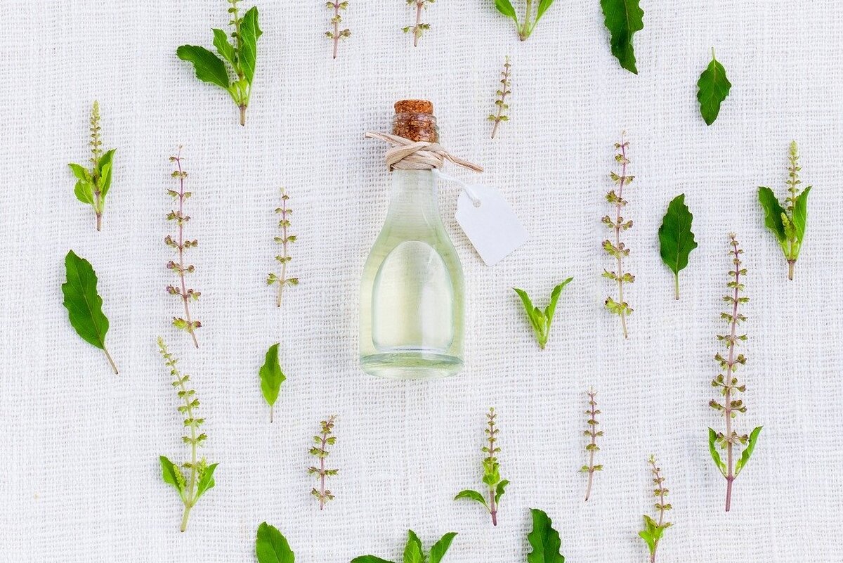 Тулси широко применяется в медицине