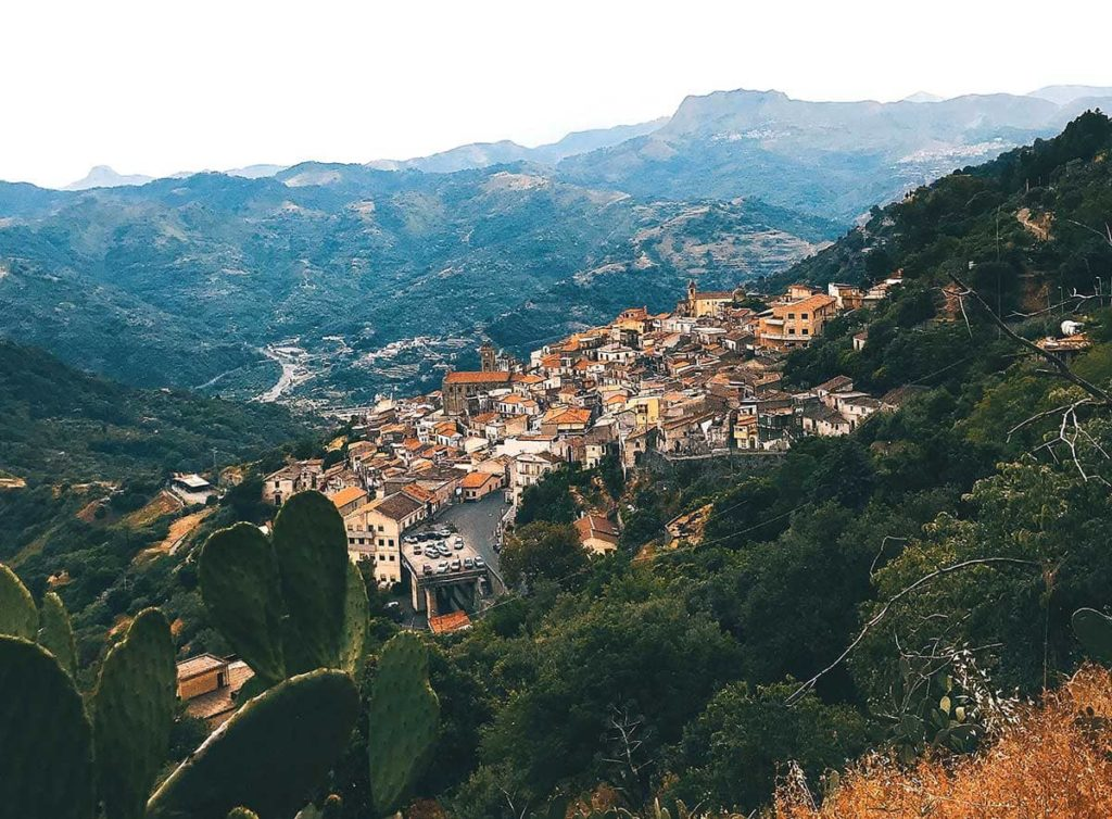 Из открытых источников Яндекса