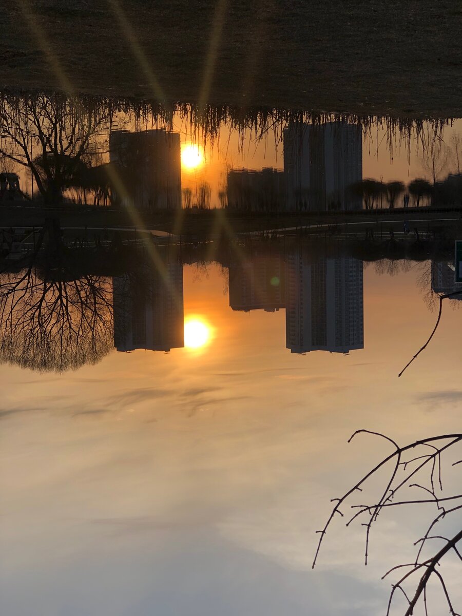 Фото по трём критериям 