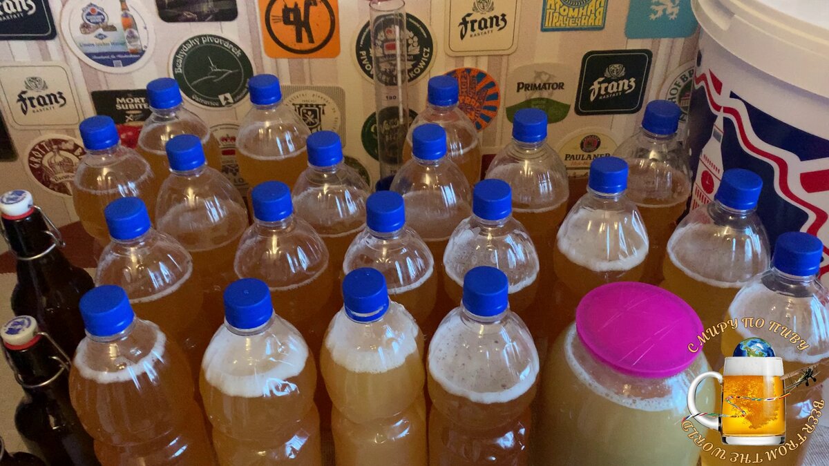 Варим первое домашнее пиво