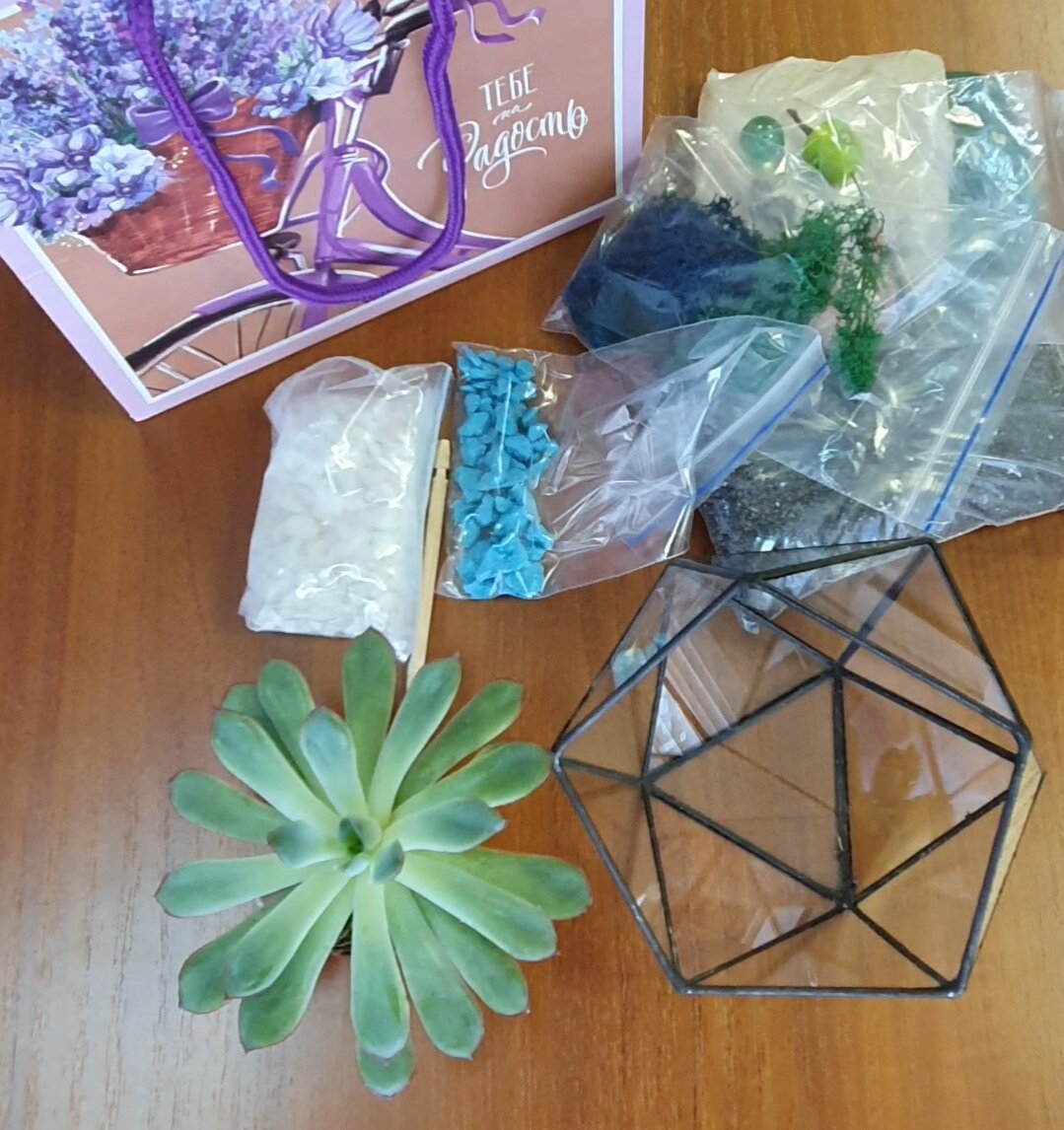 5 шагов - и флорариум готов: мои советы, рекомендации и инструкции ...