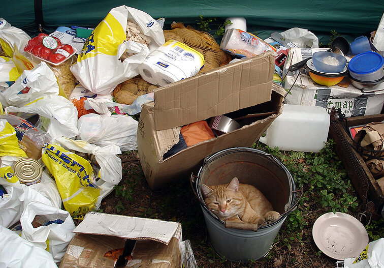 На раскопках поселения позднего средневековья – раннего нового времени на западе Ленинградской области, 2010 г.