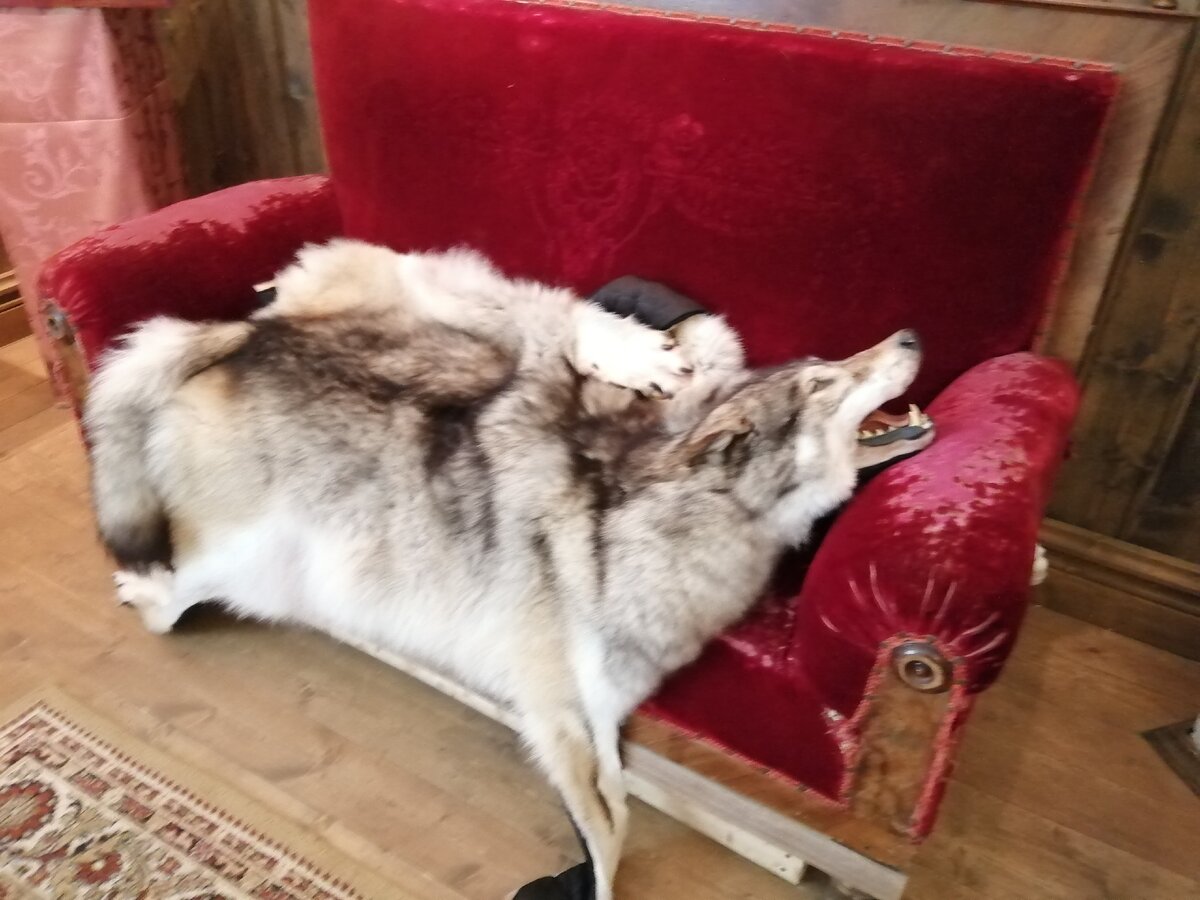 Один из моментов работы.