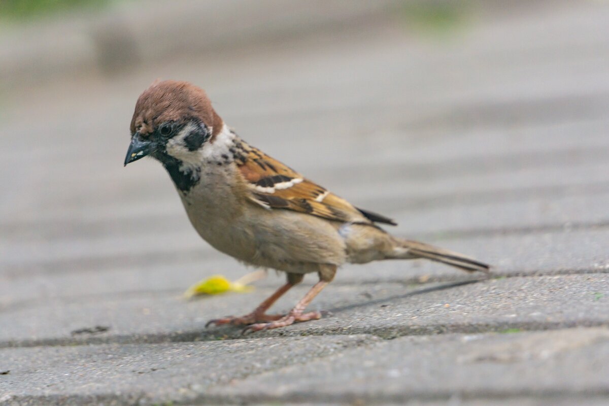 авторское фото