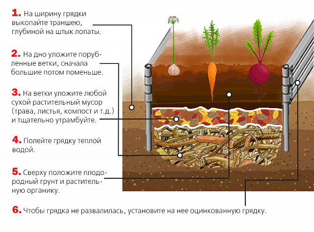 Высокая грядка слои фото