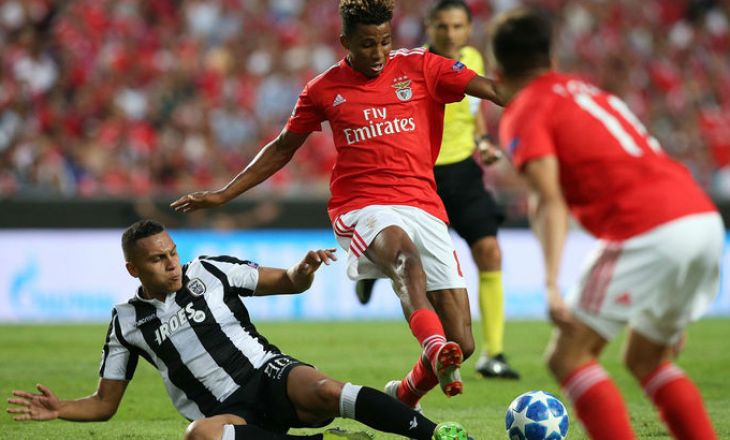 Матч ПАОК - Бенфика. Источник: открытый портал Яндекс. Картинки