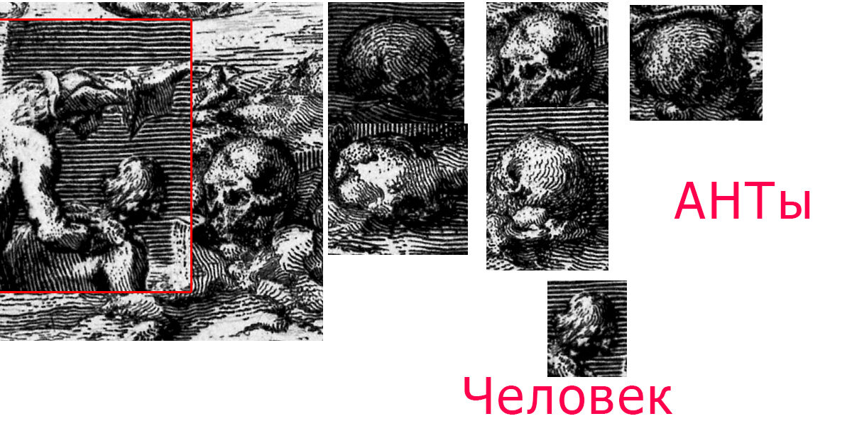 #человек #скелет #анты #атланты #гиганты