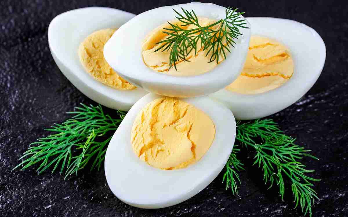 Фотография взята из открытых источников.