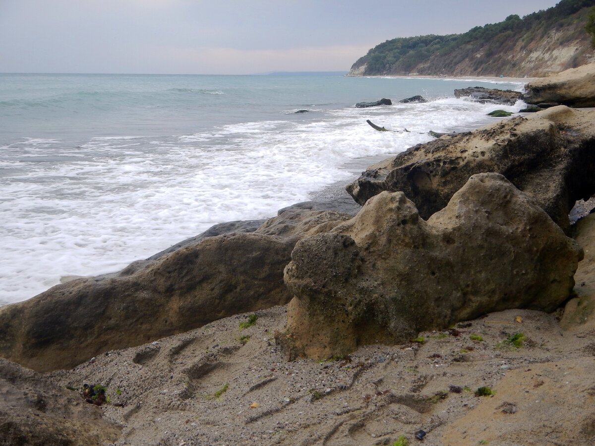 Верблюд на отдыхе - похоже?