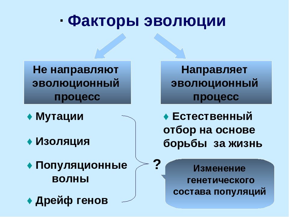 Какие органы изображены на рисунке и в результате какого эволюционного процесса они сформировались