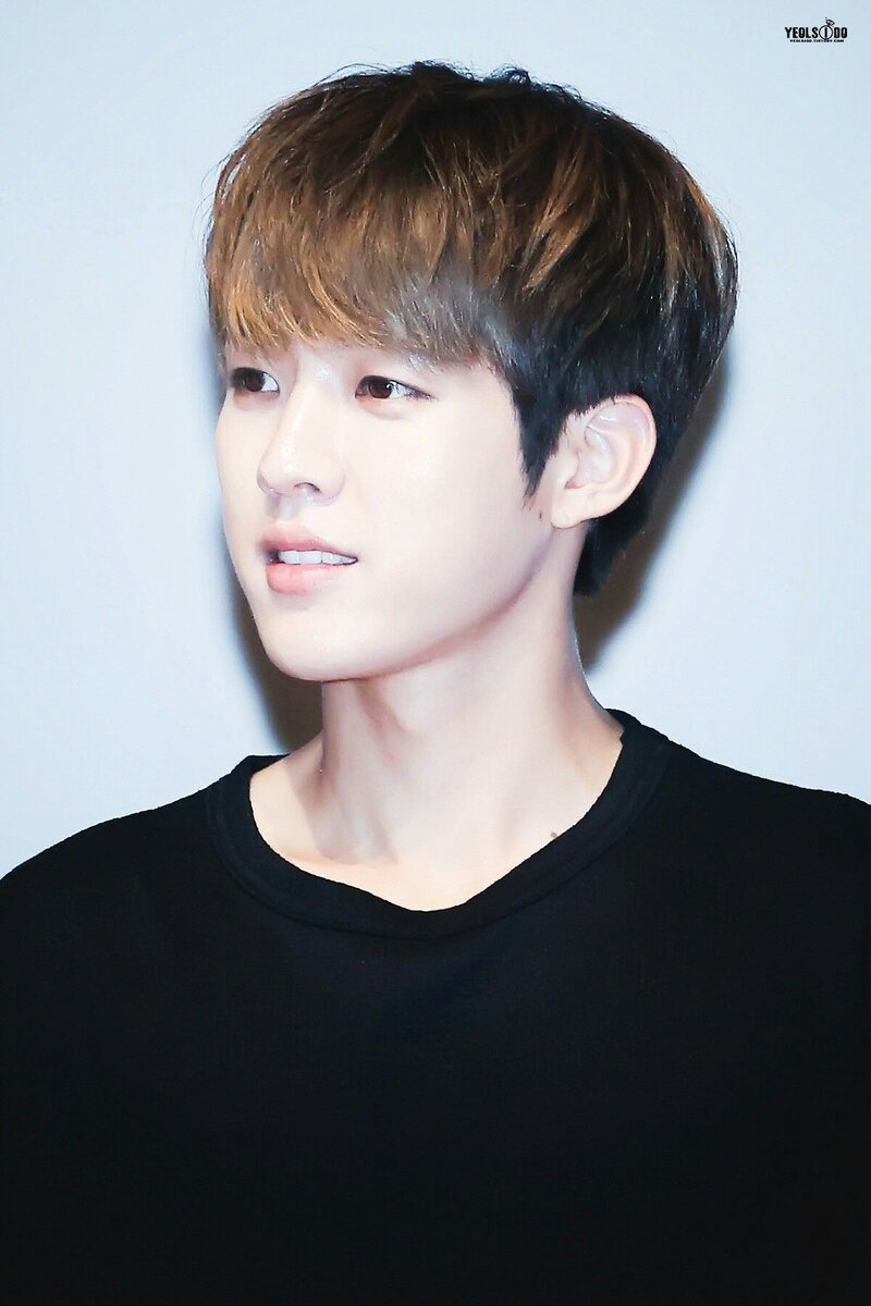 Яндекс. Картинки (Сонёль) 