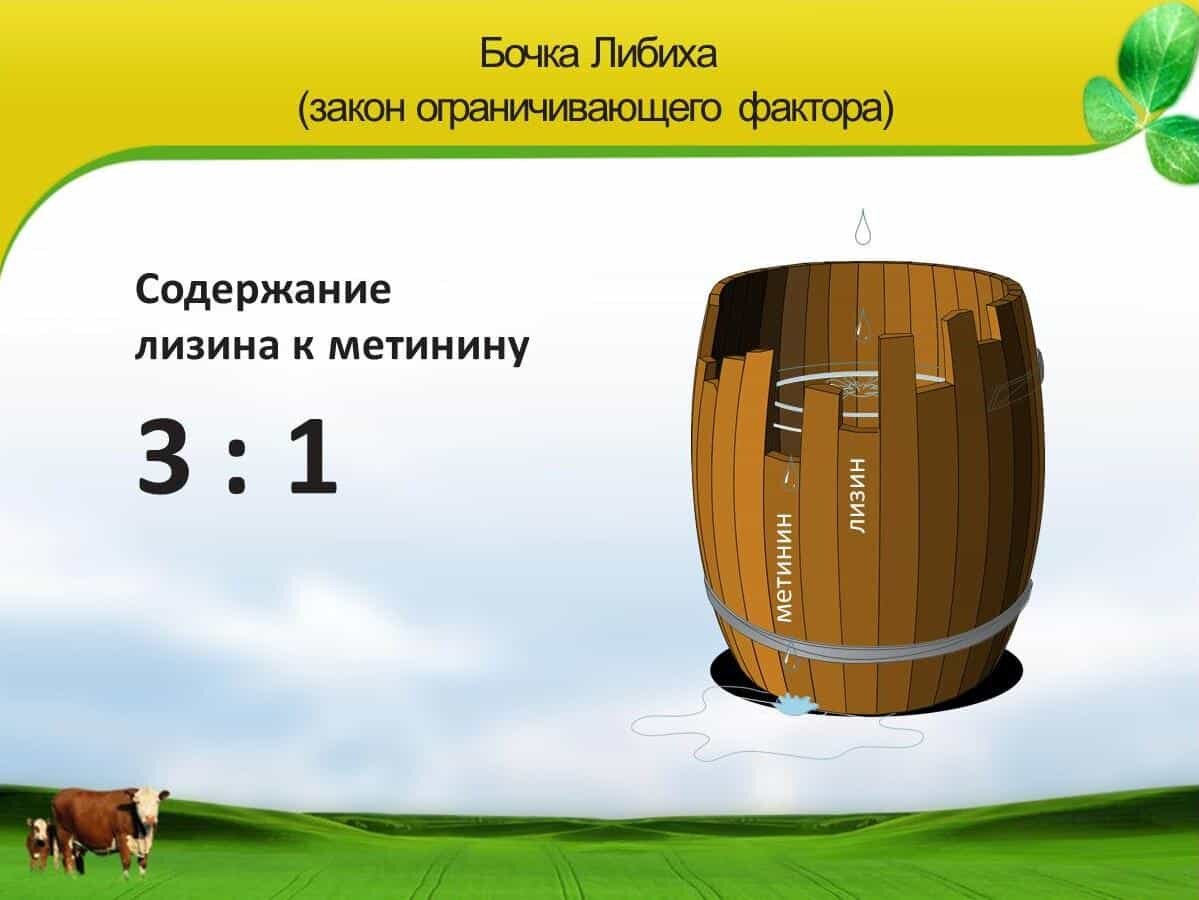 Закон либиха экология примеры