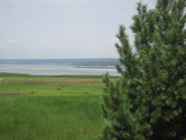 Пейзаж Заречья. Фото из томских источников