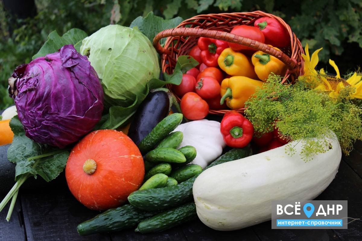 Источник фото: vsednr.ru