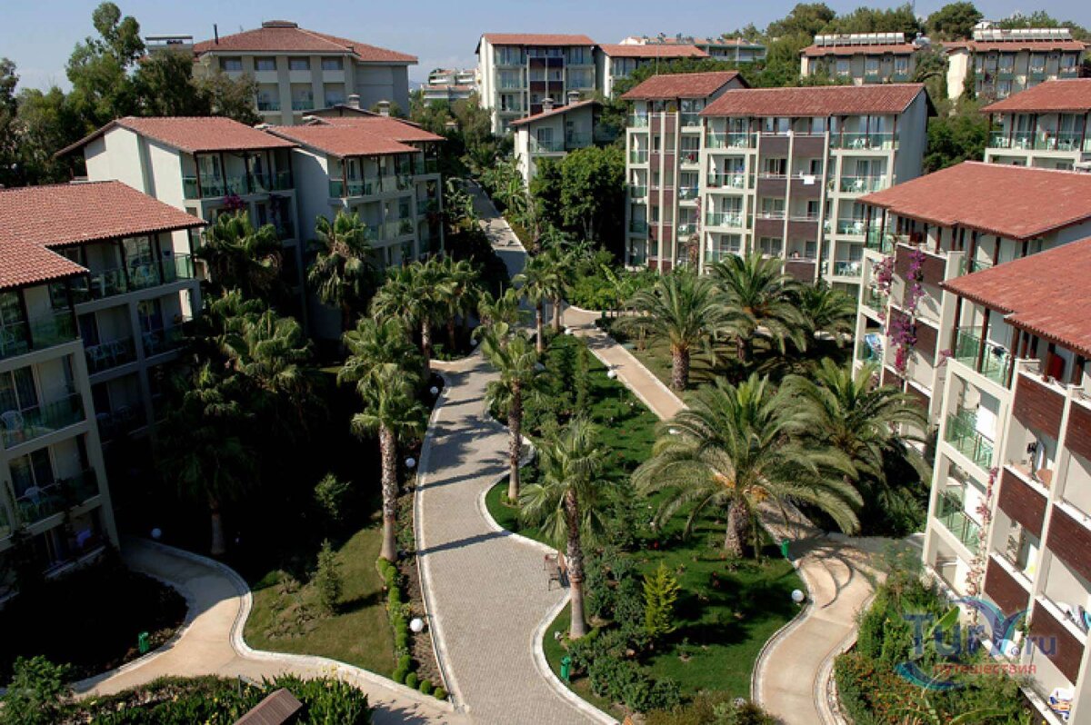 (фото из интернета)