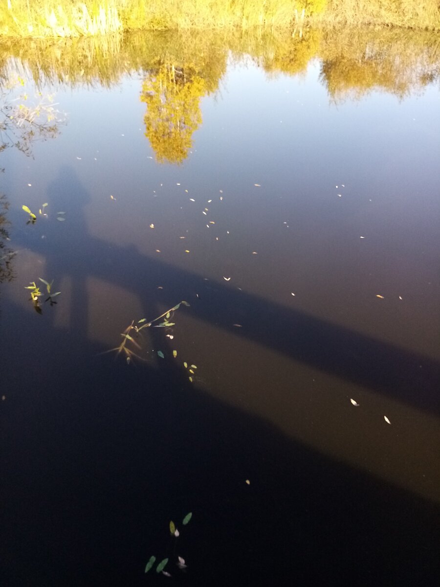 немного автора в холодной воде