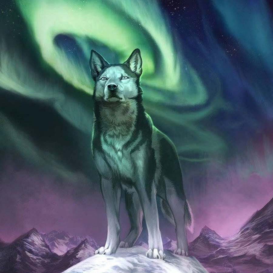 фото из открытого источника