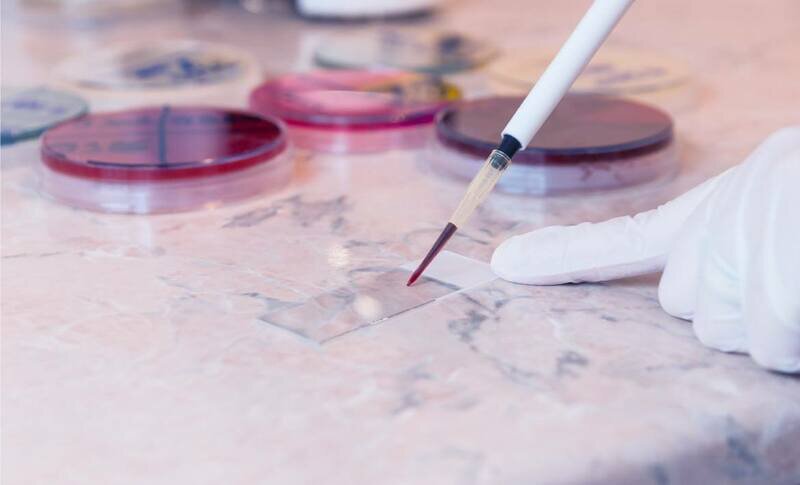 Фотографии: istockphoto.com 