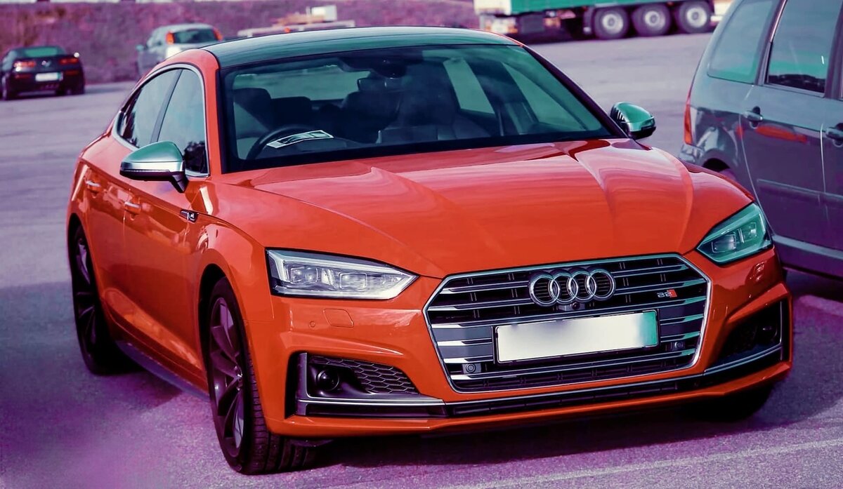 Аудосик красотулька