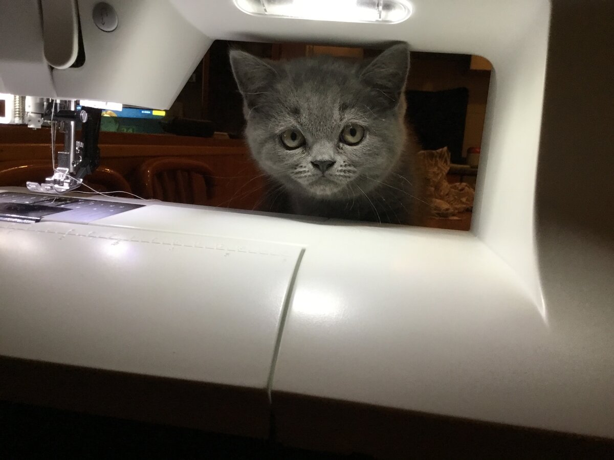 Когда он появился в доме, то первым его интересом были швейные машинки...