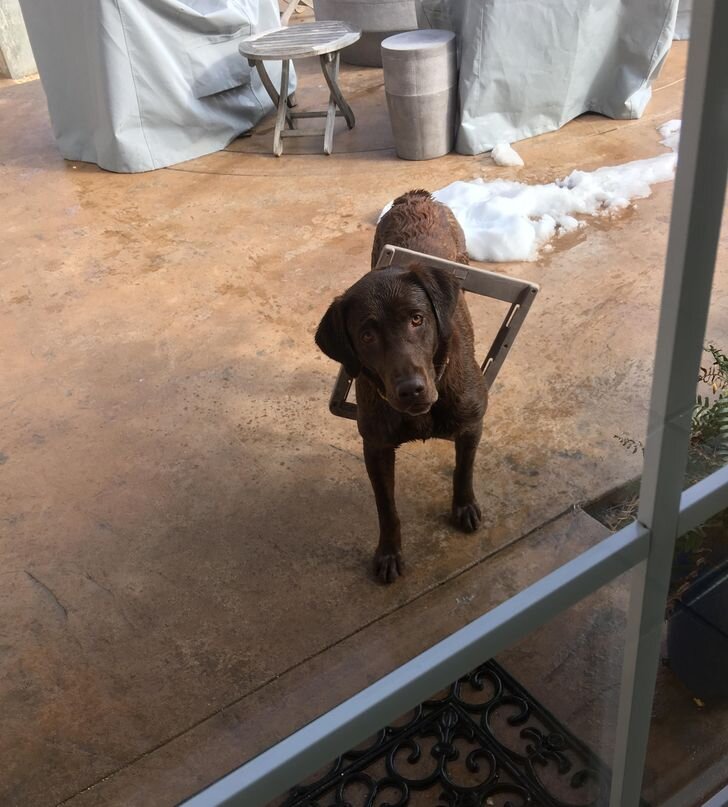 © littlepinkcactus / Reddit