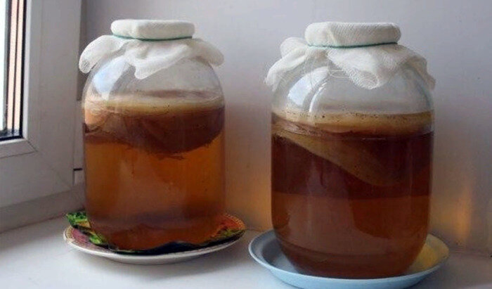 Чайный гриб: почему он популярен и зачем его пить 