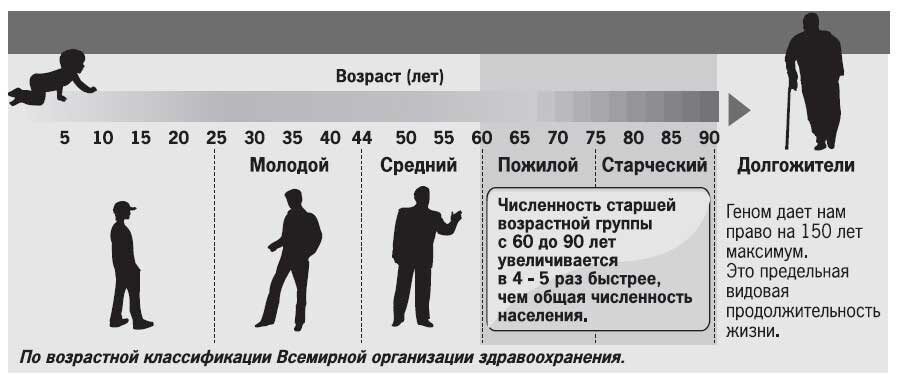 картинка взята из свободного доступа Яндекс.картинка