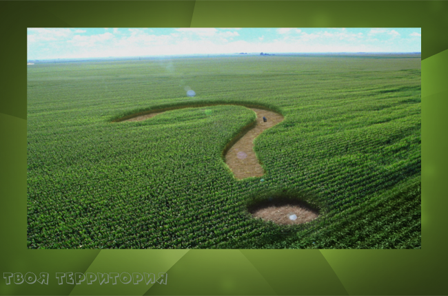 Не посеешь - не пожнешь