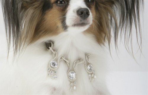 ошейник сделан из 18-каратного белого золота. Также в нём присутствуют элементы из платины и крокодиловой кожи.