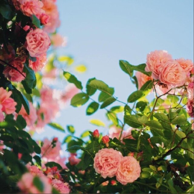 Анапа. Улица Парковая. Фото из интернета. 