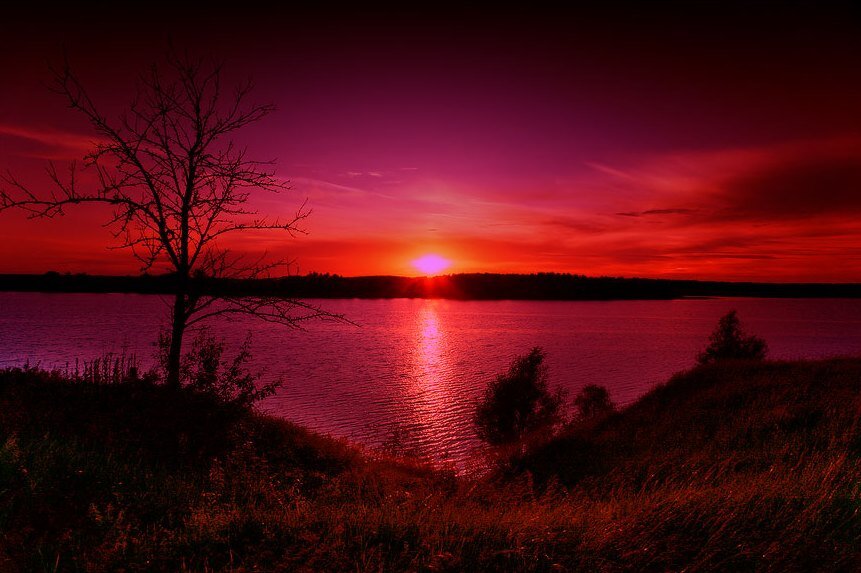 Фото из открытых источников.