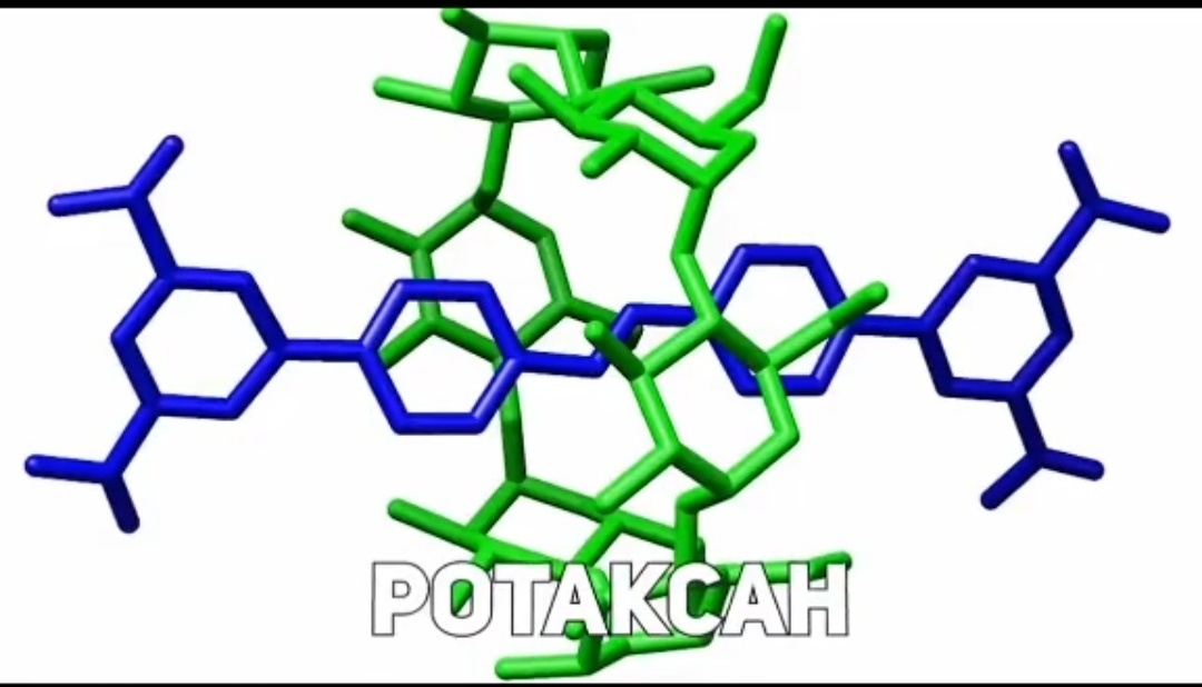 Исскуственное вещество в котором кольцевая молекула нанизана на линейную молекулу. В 2010 году группа американских био-инженеров Милон Стоянович и его коллеги создали молекулярного нано-робота способного перемещаться по ДНК. В ходе эксперимента  ученые смогли проследить  как их нано-робот смог самостоятельно сделать 50 шагов и передвинуться на сто нано-метров. Робот внешне напоминающий паука может автономно выполнять несколько команд. Идти, повернуть, остановиться. А уже спустя три года английские и шотландские био-инженеры под руководством Девида Лэя смогли создать первый в мире молекулярный нано-конвейер. Нано-машину способную собирать пептиды. 