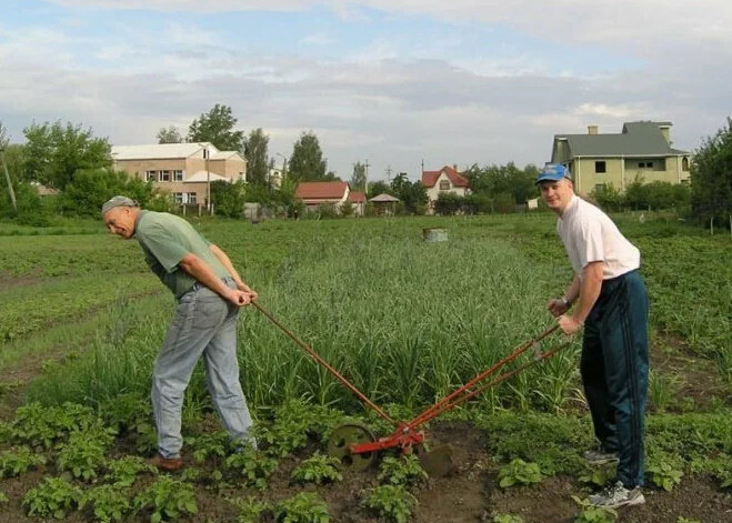 Перекапываем 