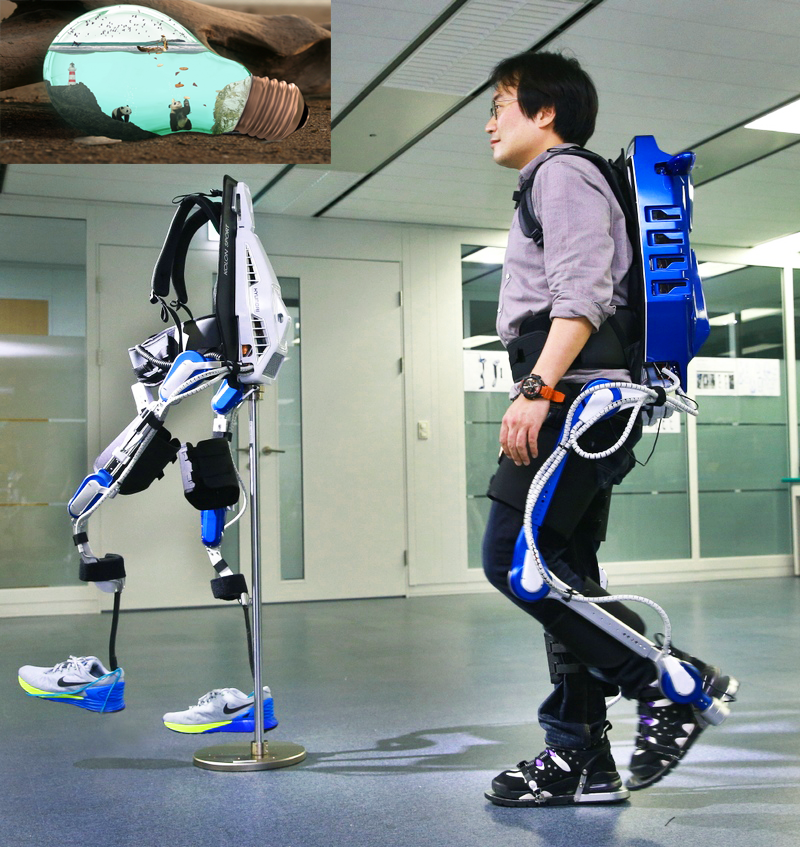 Экзоскелет