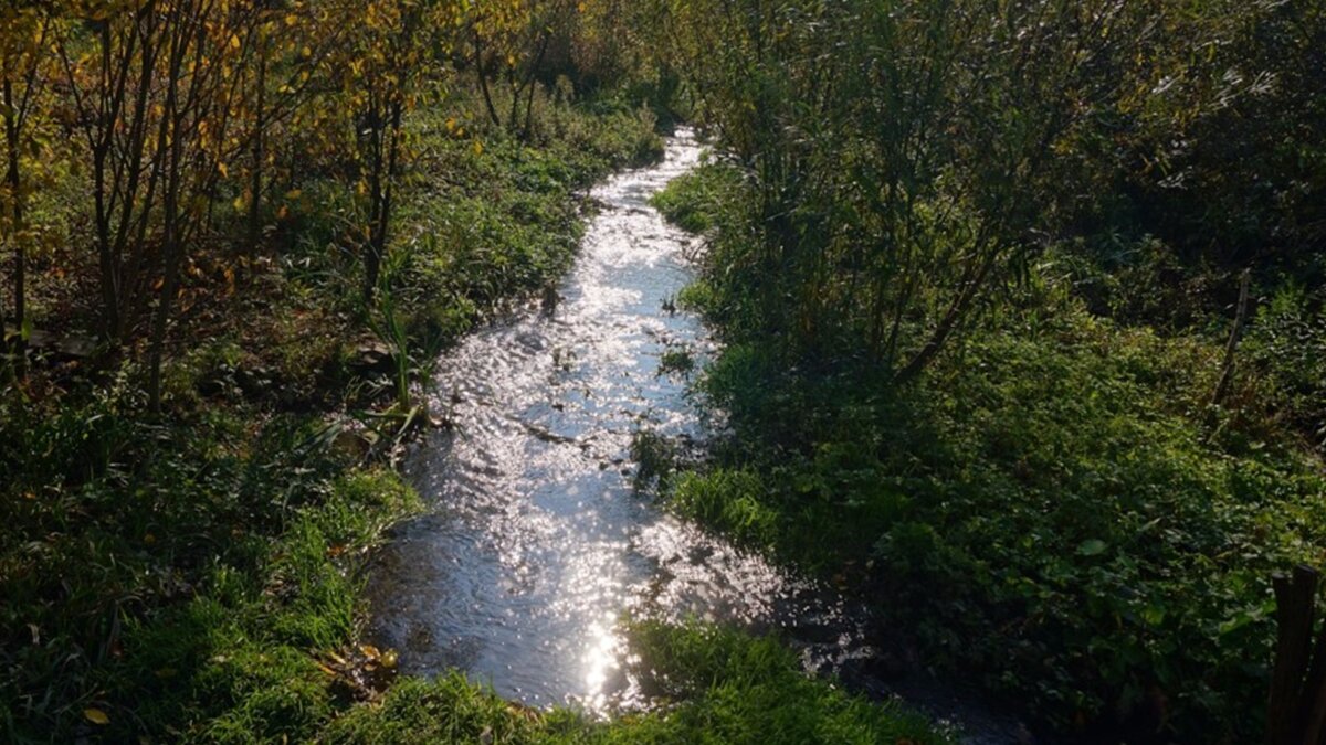 Река Стикс в Перми