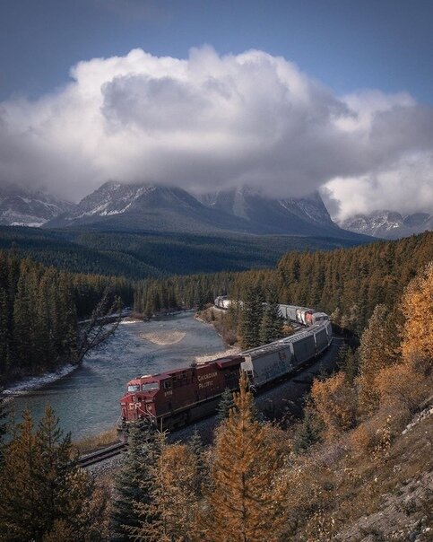 Взято в свободном доступе в интернете.