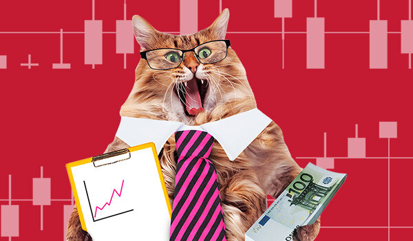 "Когда получил первую прибыль." Фото с сайта: tests.banki.ru