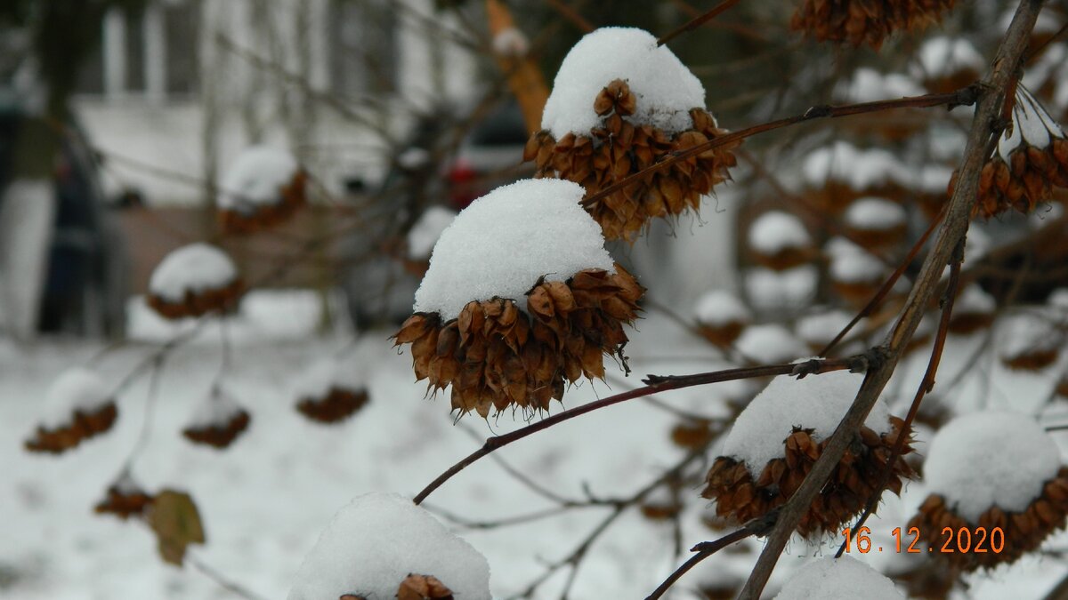 Сегодня гуляли по Кашире. Можете прогуляться вместе с нами -- листать вправо.