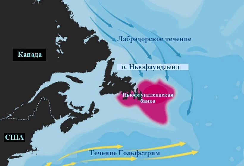 Внутреннее течение. Нью фаундленская банка. Большая Ньюфаундлендская банка. Ньюфаундлендская банка на карте. Ньюфаундленд банка на карте.