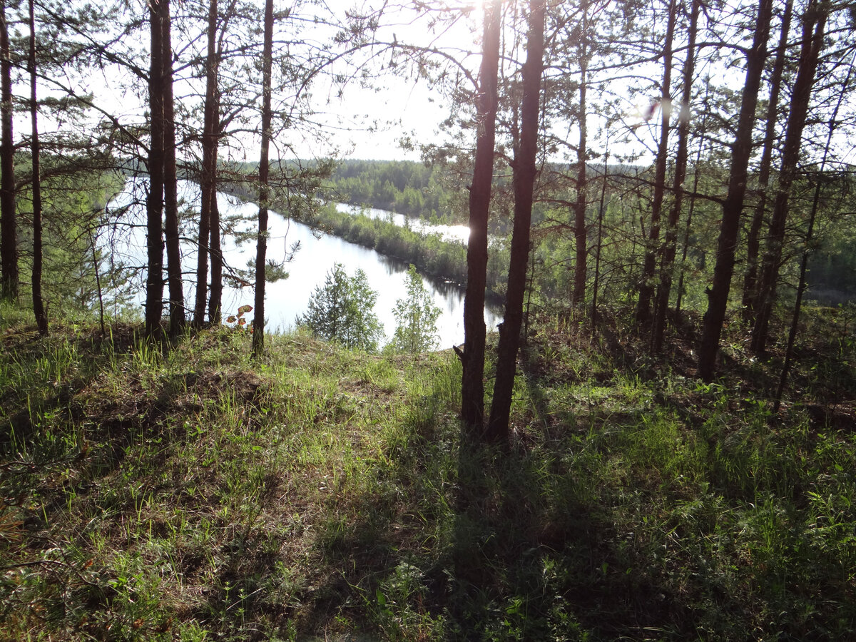 Хорошо быть  не только добрым, но и сильным
