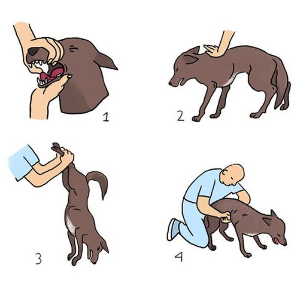 Фото из интернета