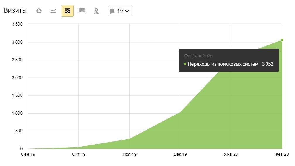 Скриншот из Яндекс.Метрики интернет-магазина, продвижением которого я занимаюсь
