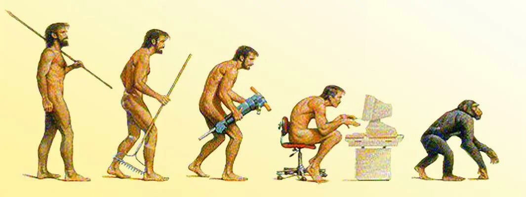 Фото из сети Интернет. Обратный ход эволюции от homo sapiens к project manager
